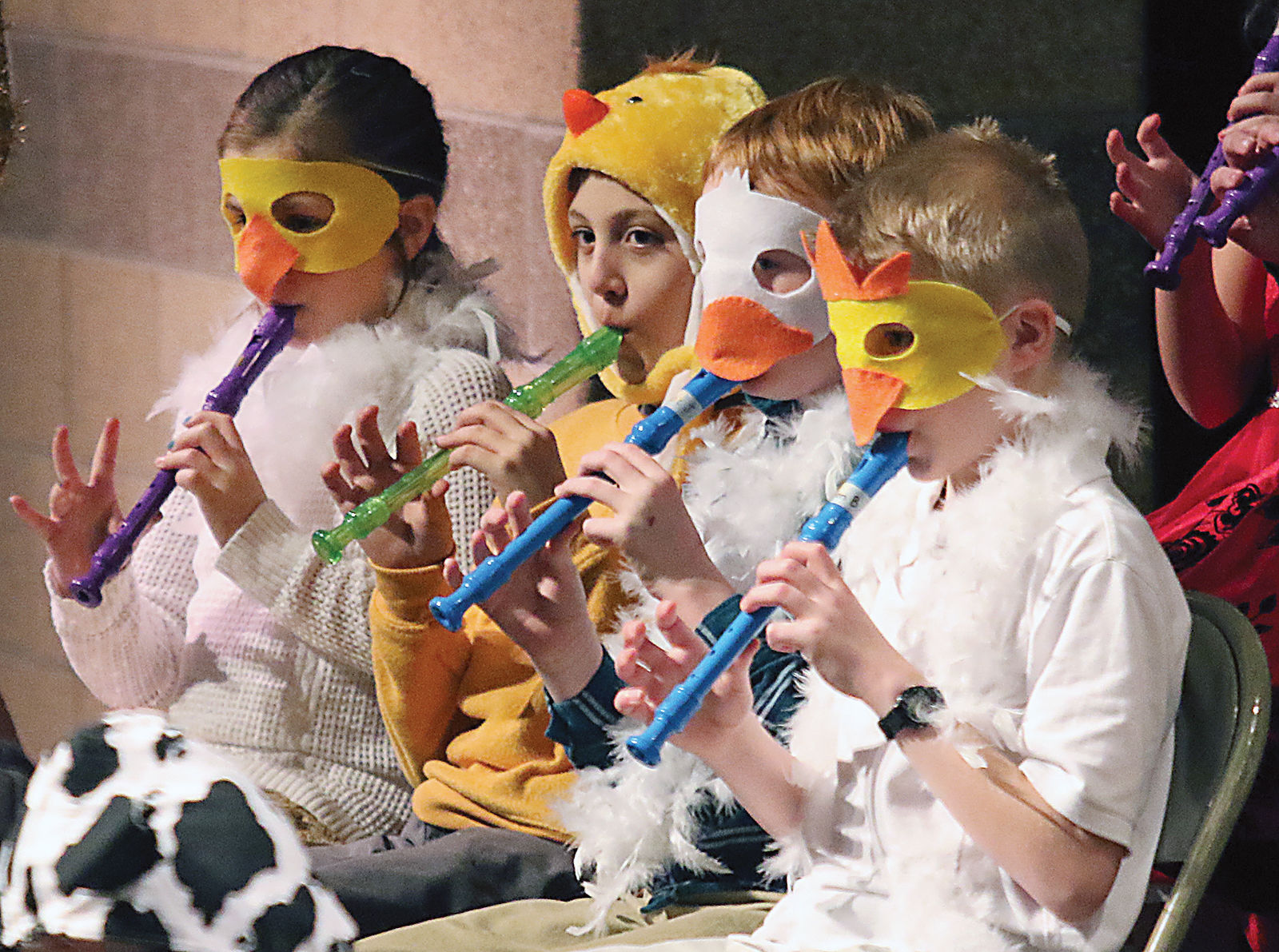 Fowl Play